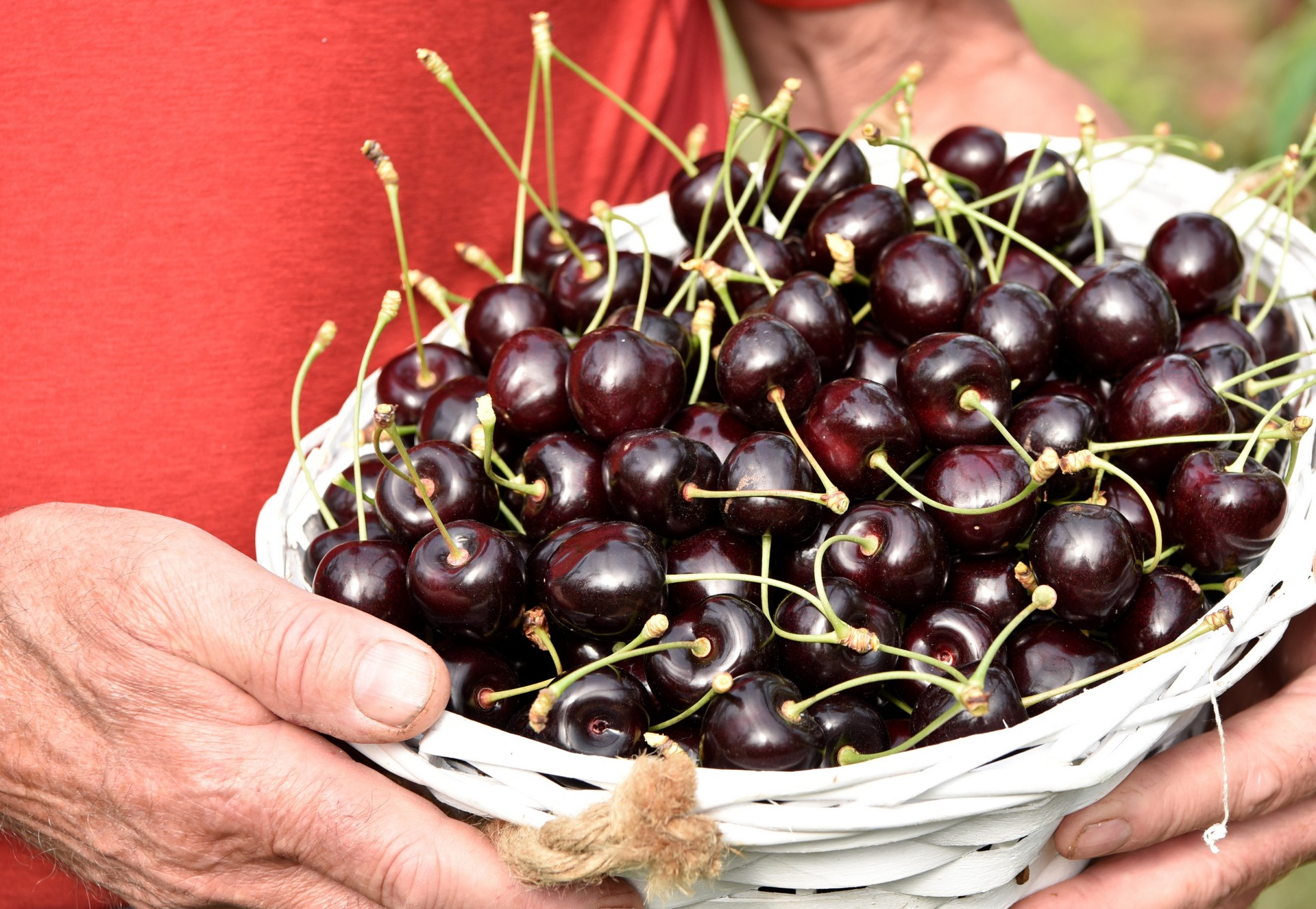 Klant Ambassadeur Geloofsbelijdenis Boerderijwinkel met fruit, groente en streekproducten - De Zoete Kers